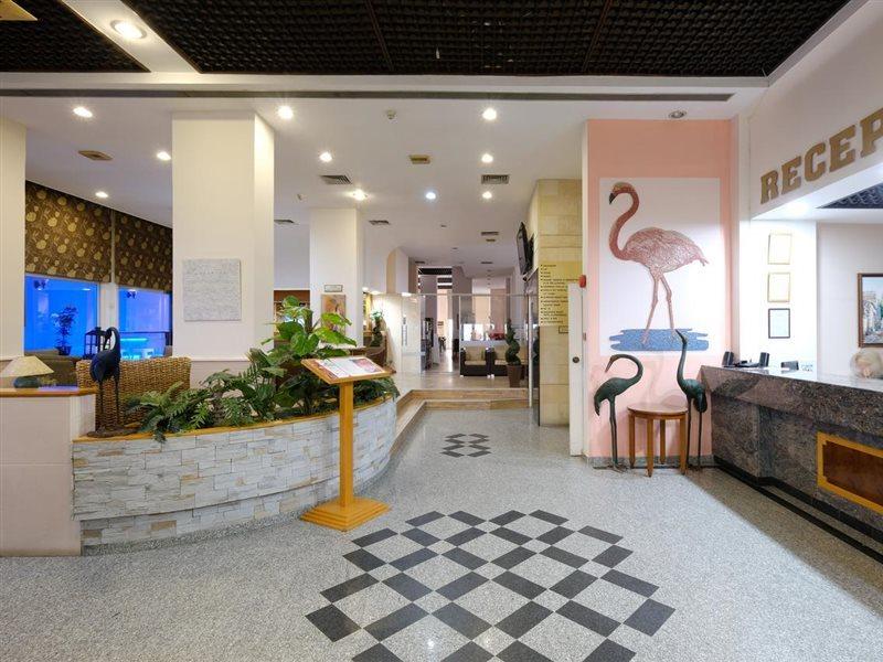 Flamingo Beach Hotel Larnaca Buitenkant foto